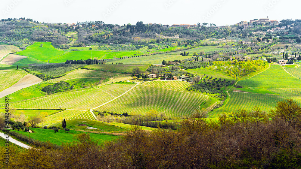 Green fields springtime landscape panoramic view in Tuscany, Italy	