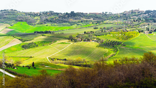 Green fields springtime landscape panoramic view in Tuscany, Italy 