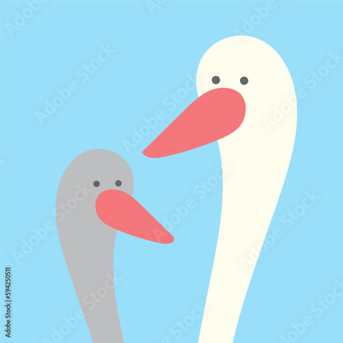 Portrait of a white and gray gooses. birds heads with beak. Domestic farm bird. Duck with a light feather