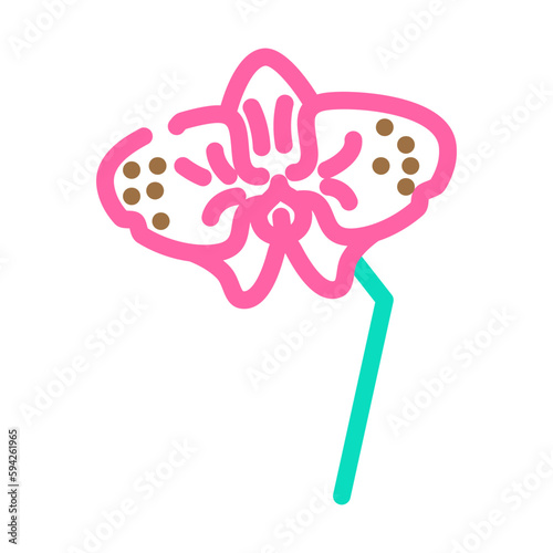 orchid blossom spring color icon vector illustration © sevector