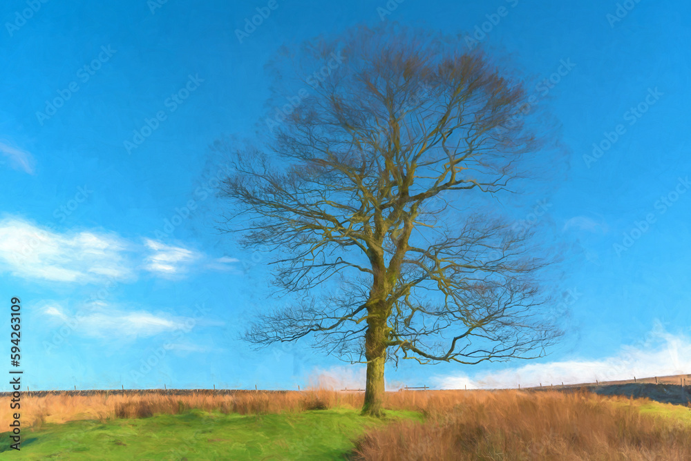 A solitary tree during autumn with no leaves