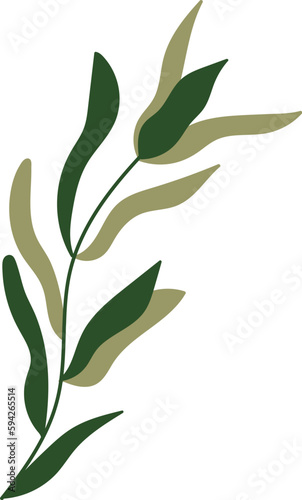 Tropical Leaf Icon