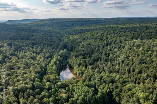 forest_aerial photo