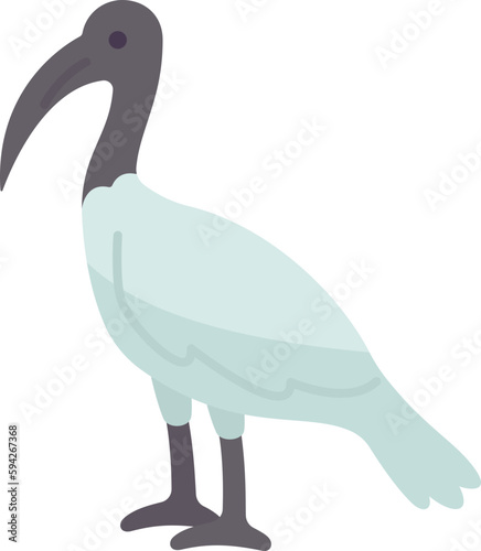 ibis  icon photo