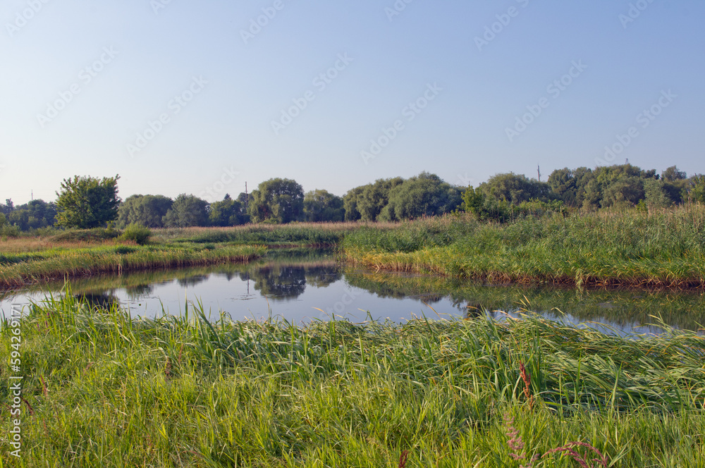 Nature in the countryside. Lake, meadow, forest, sky