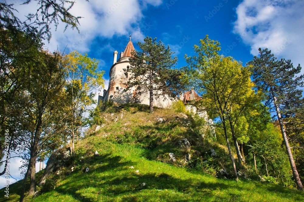 Fototapeta premium Bran Castle in Brasov