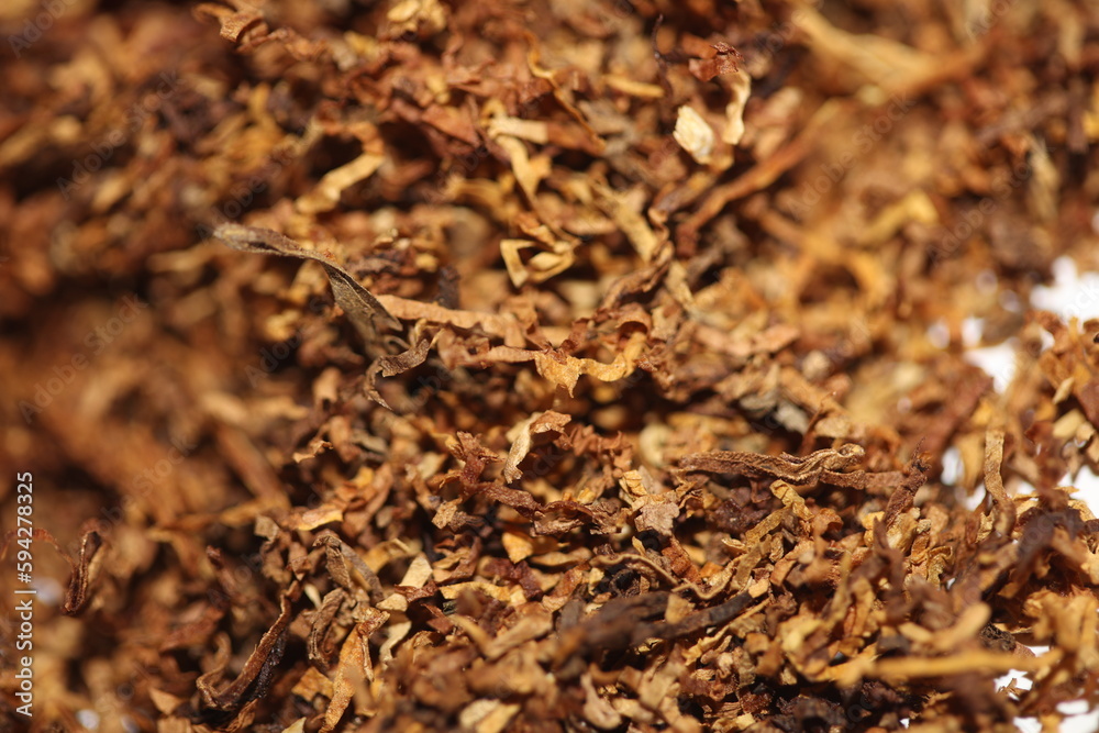 Rolling dried tobacco leafs close up background big size high quality stock photos smoking addict self made cigarettes and joints