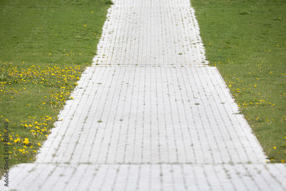 Obraz premium A wide path layed with decorative bricks in the middle of a grass field