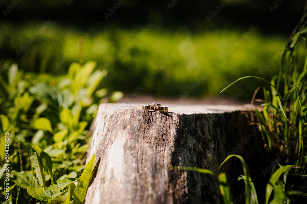 Pair of gold wedding rings on a stump Pair of gold wedding rings on a stump