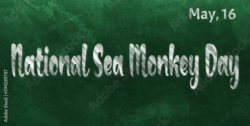 Happy National Sea Monkey Day, May 16. Calendar of May Chalk Text Effect, design