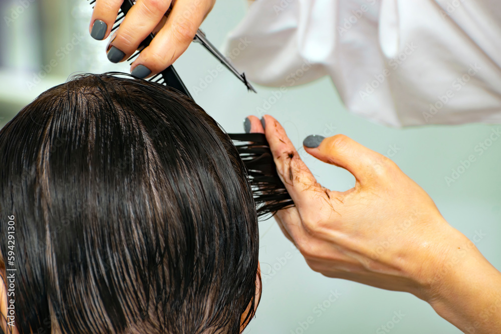 Fototapeta premium real female haircut in a beauty salon. woman hairdresser and client. female business. cutting off a strand of wet hair
