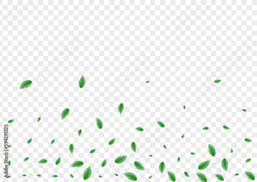 Greenish Leaf Background Transparent Vector. Greenery Banner Texture. Selective Card. Green Aroma Frame. Plant Fresh.