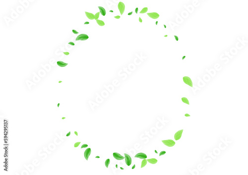 Greenish Leaves Background White Vector. Vegetation Template Card. Spring Frame. Green Set Texture. Sheet Light.