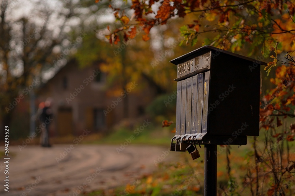 Metal mailbox stands outdoors on the background of lush autumnal foliage Metal mailbox stands outdoors on the background of lush autumnal foliage