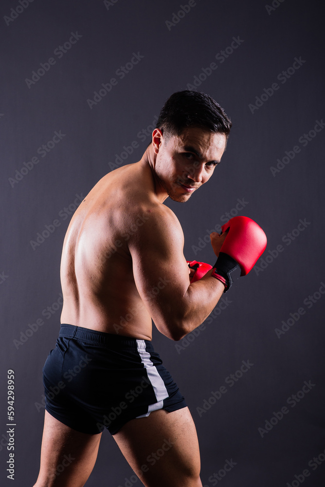 Boxing gloves, man training in sports fight, challenge or mma competition on studio background.