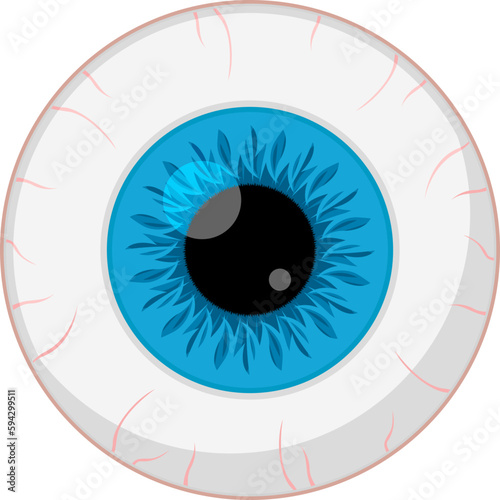 Human eye close-up on a white background. Eyeball