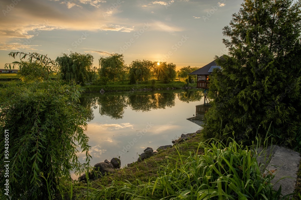 Idyllic scene featuring a tranquil pond surrounded by lush green trees and bushes at sunset.