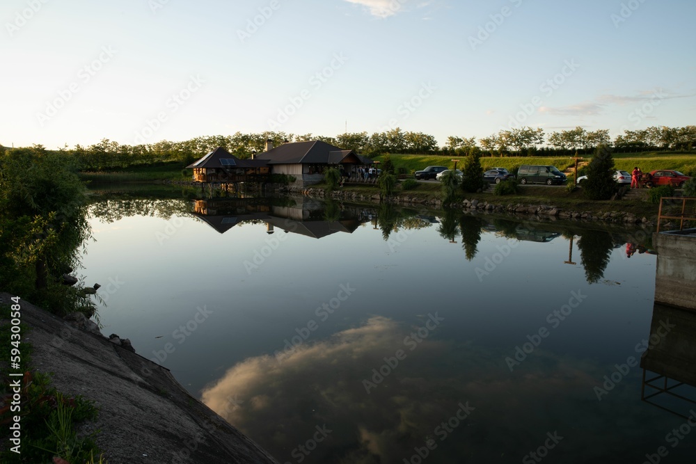 Tranquil view of a pond reflecting its surrounding environment in the still water.