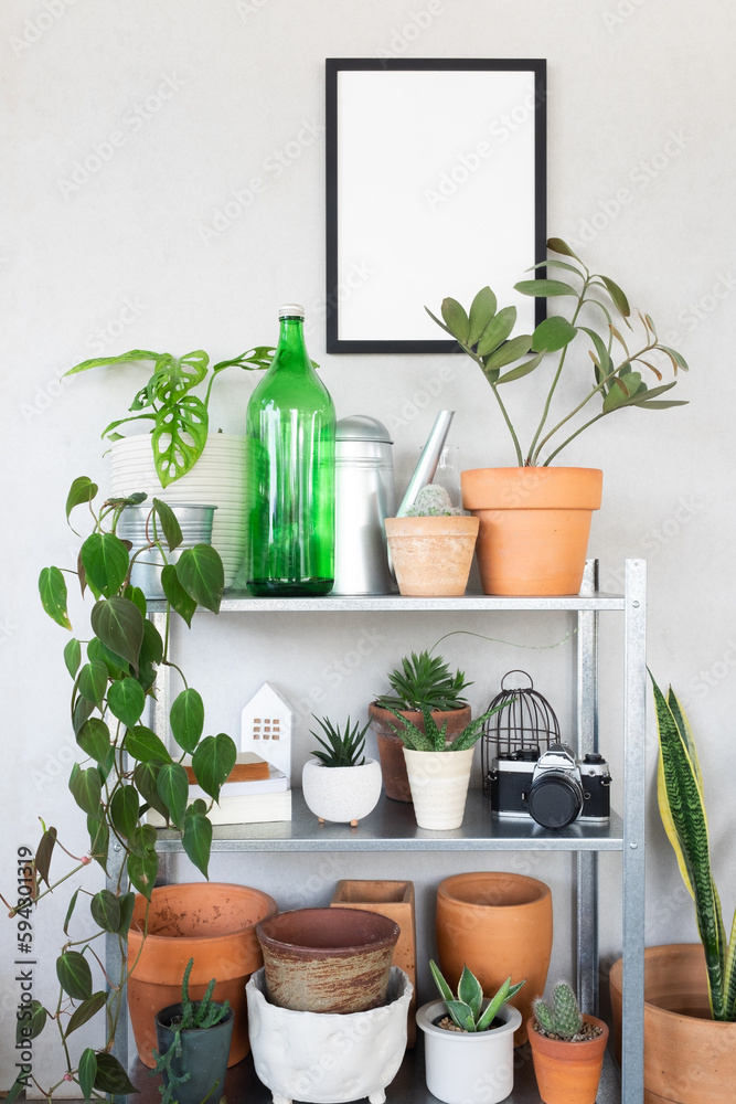 blank photo frame hanging on wall with plants
