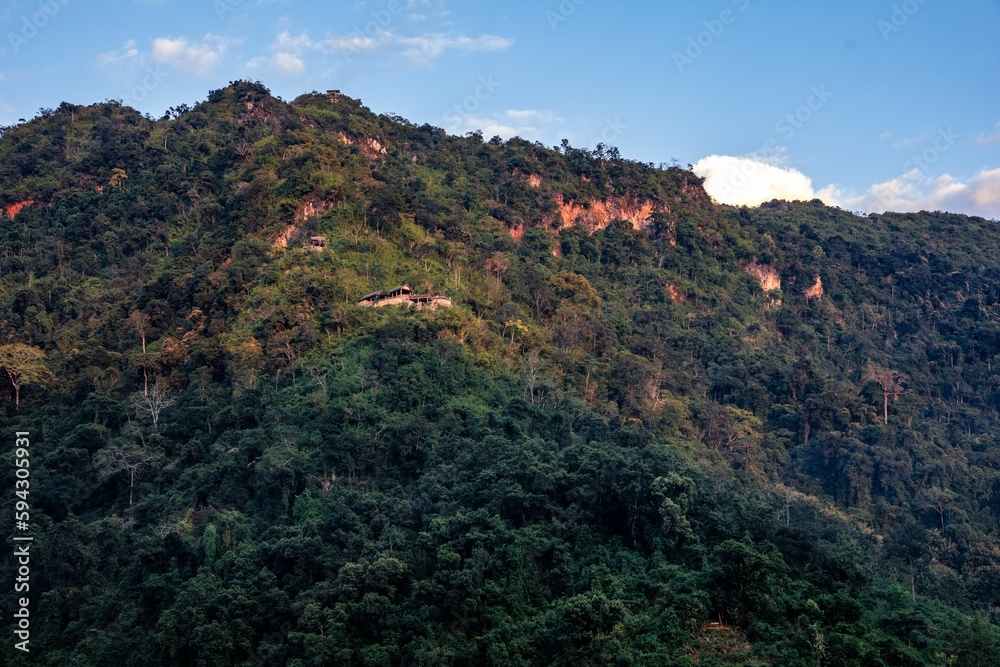 a hill of green trees next to a small house in the distance