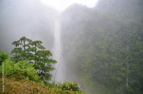 Wasserfall Hawaii