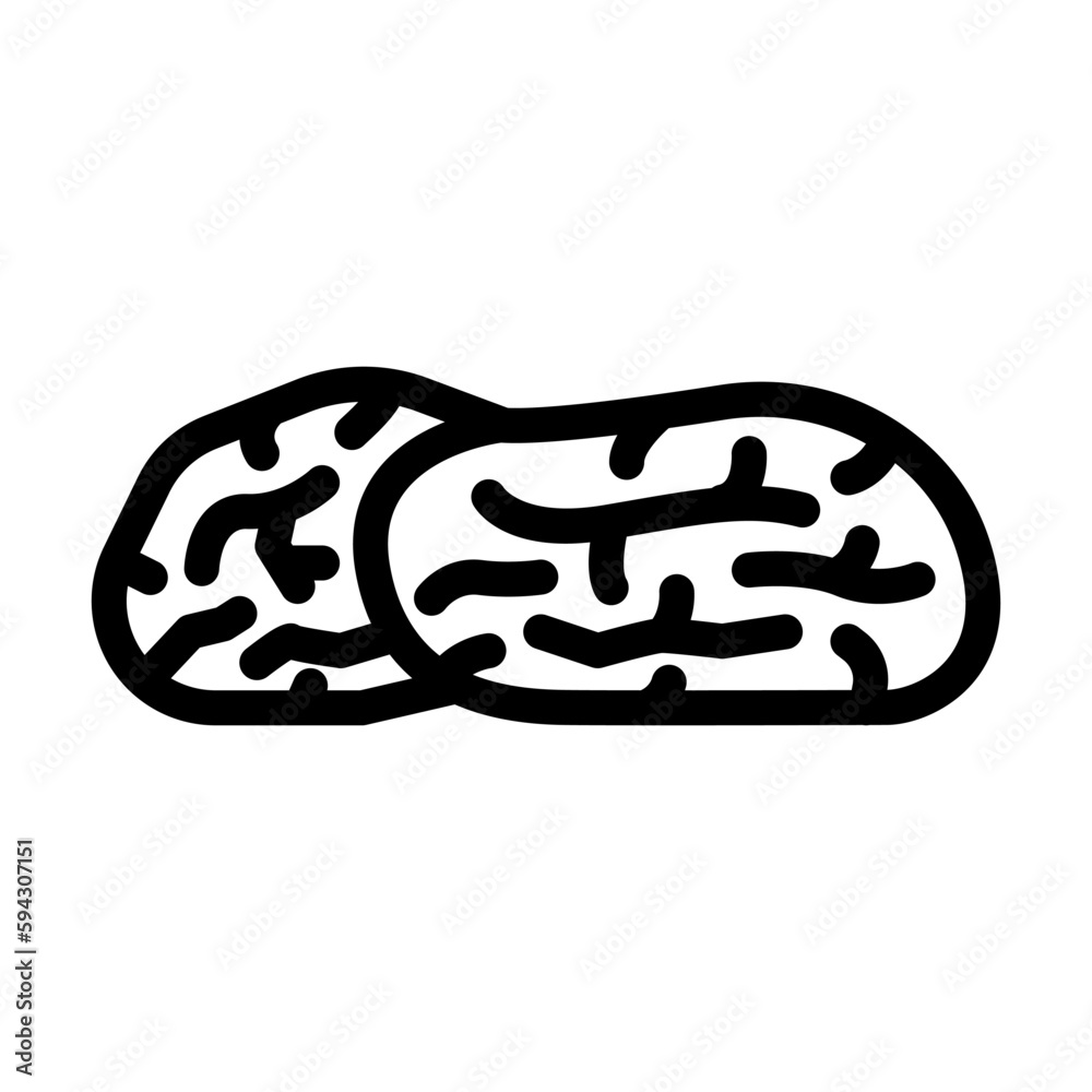 dates dried fruit line icon vector illustration dates dried fruit line icon vector illustration