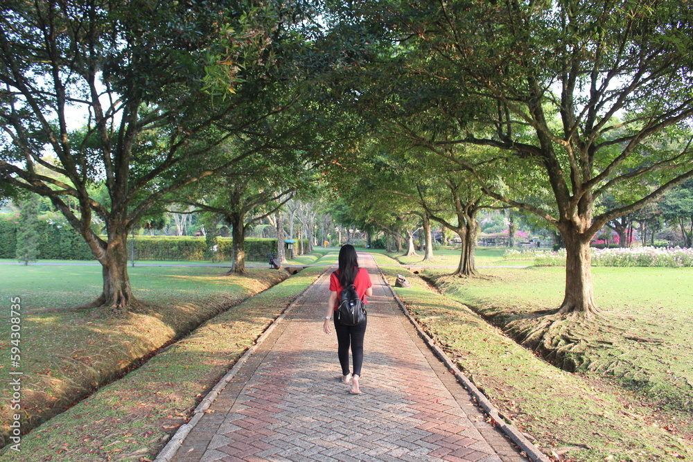 person walking in the park person walking in the park