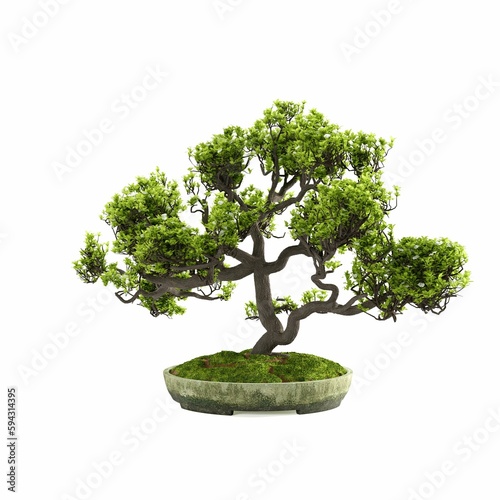 3D rendering of green bonsai tree in a round tray isolated on a white background