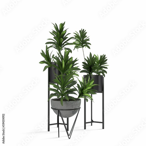 Closeup shot of green plants in modern black and gray flowerpot construction
