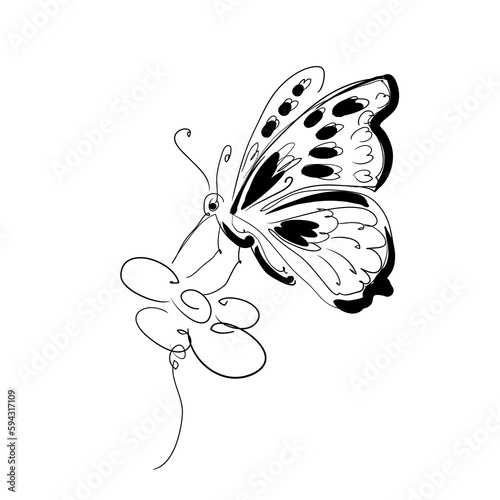 Stock  illustration. Butterfly and flower.