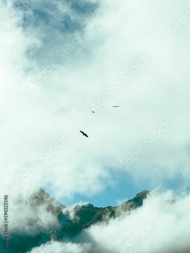 Vertical shot of a mountain peak covered in clouds © Hamza Oulad/Wirestock Creators