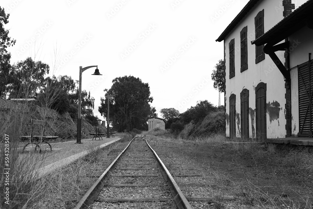 Greyscale of an abandoned railway station with tall grass growing over the railroad tracks