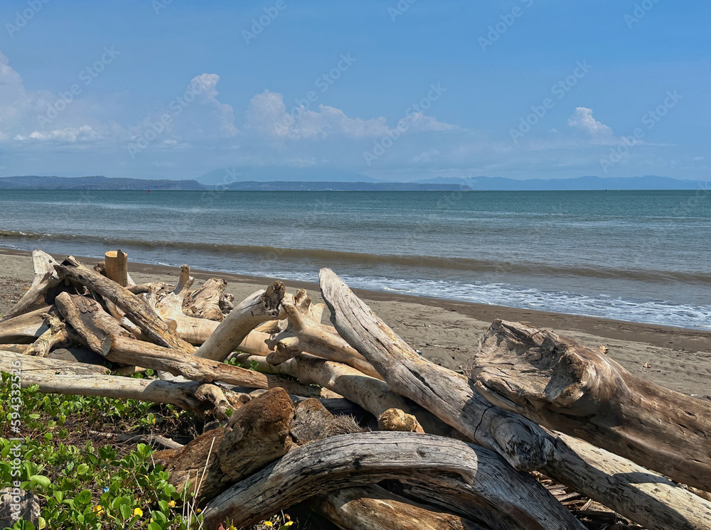 Pile of driftwood on a beach