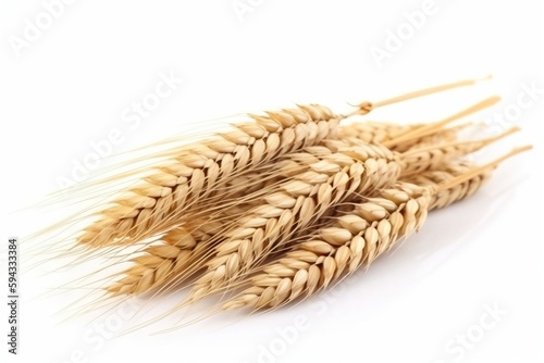  a bunch of ripe wheat on a white background stock photo - 1307997, via shutter shutterstocker, gettyback. generative ai