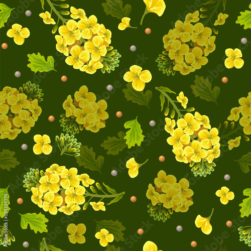 Pattern rape flowers and seeds, canola. Brassica napus. Seamless vector background.