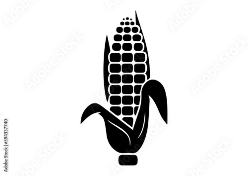 vector corn food illustration design