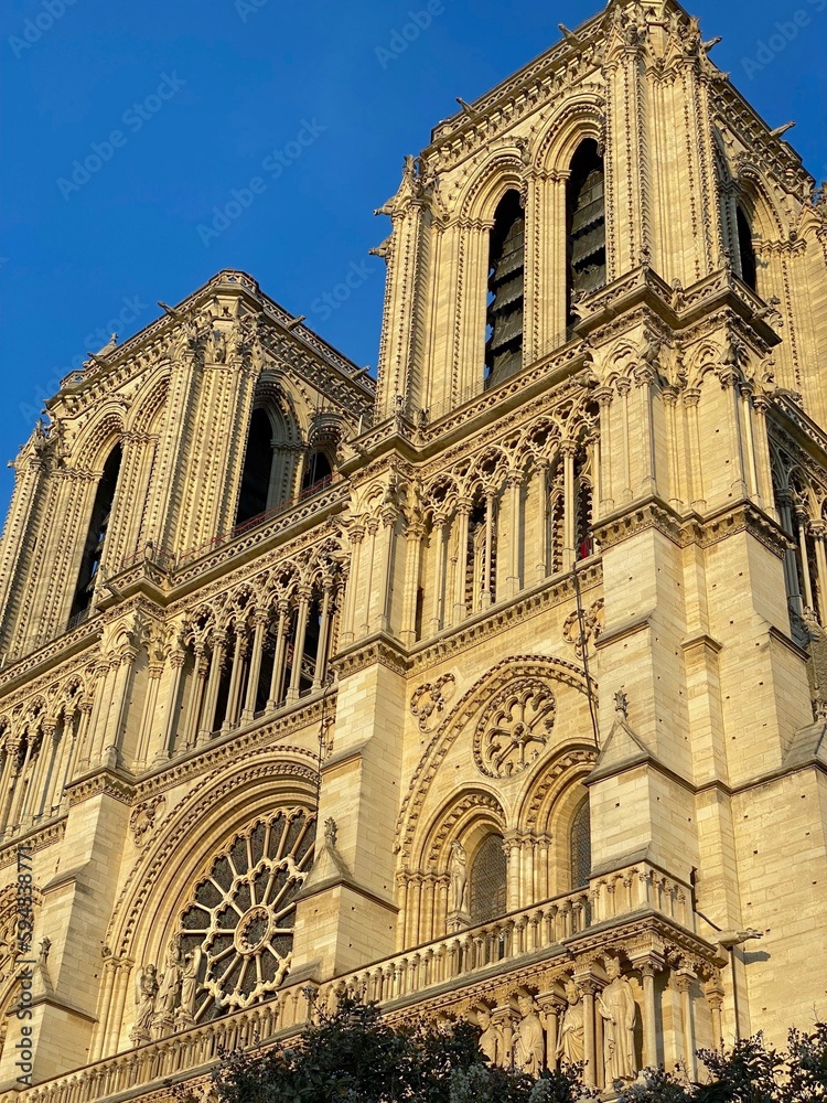 cathedral towers in Paris