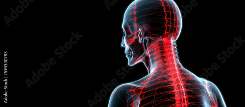 medical diagram spine human with place to text copy space on black background generative ai