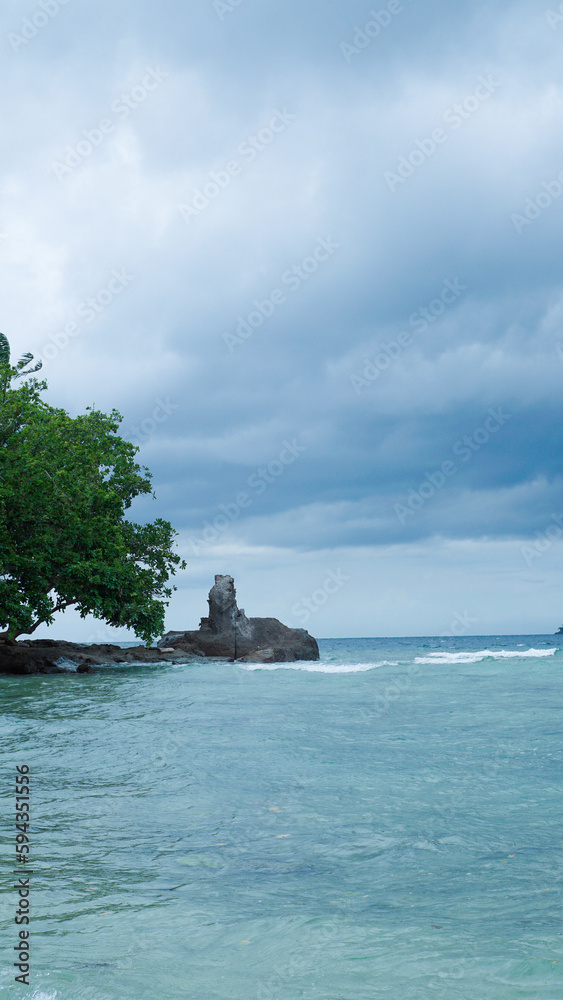 coastline with green tree and leaves, wave crash on shore, blue sea beach and ocean
