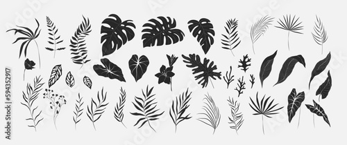 Set of Floral tropical branch of palm and flowers in silhouette and line style. Hand drawn elegant exotic leaves for invitation save the date card design. Botanical trendy