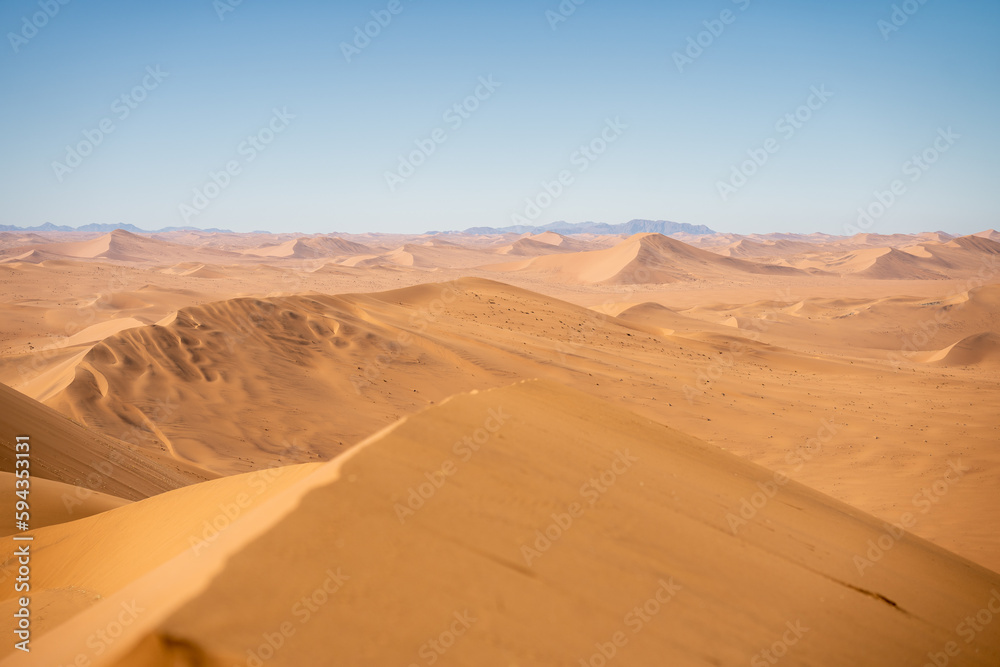 Naklejka premium Red Sand Dunes Landscape in Namibia Desert
