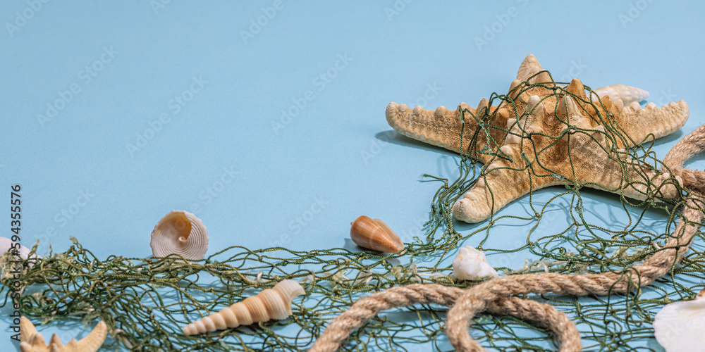 Blue nautical background with sea shells, starfishes and fishing net. Assorted marine animals Blue nautical background with sea shells, starfishes and fishing net. Assorted marine animals