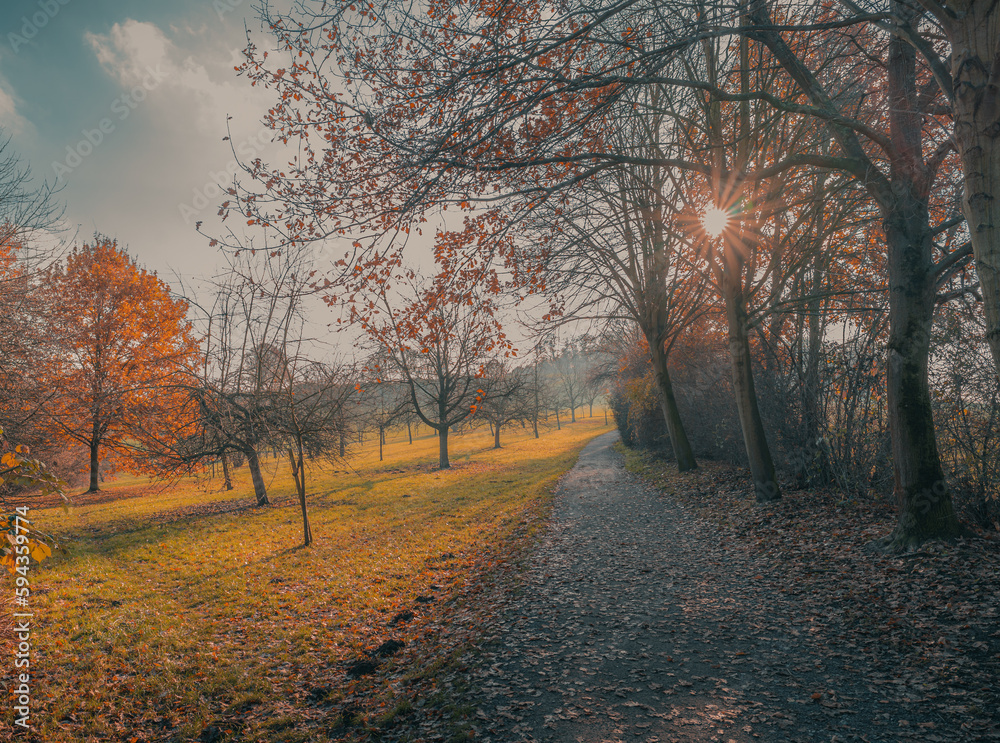 Fototapeta premium Sonniger Weg in ländlicher Umgebung