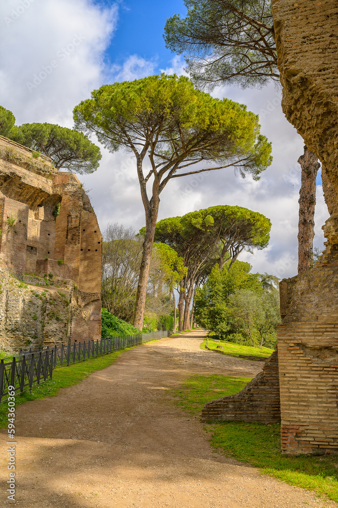 Weg auf den Palatin im Forum Romanum in Rom in Rom 509423