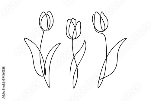 Tulip flower continuous line drawing. One line art.