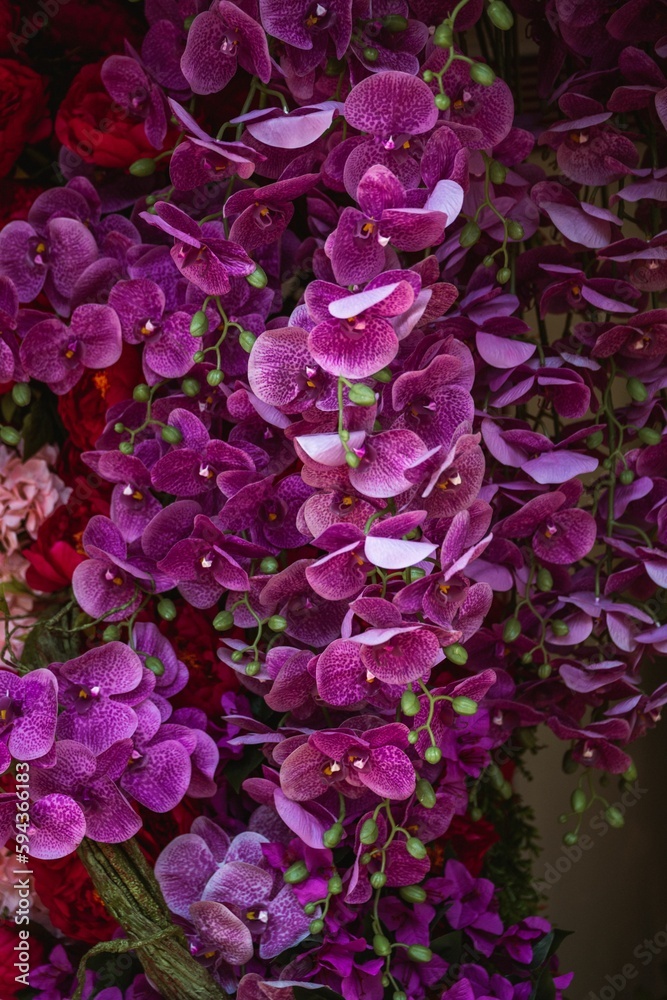 Vibrant arrangement of purple orchids in the garden.