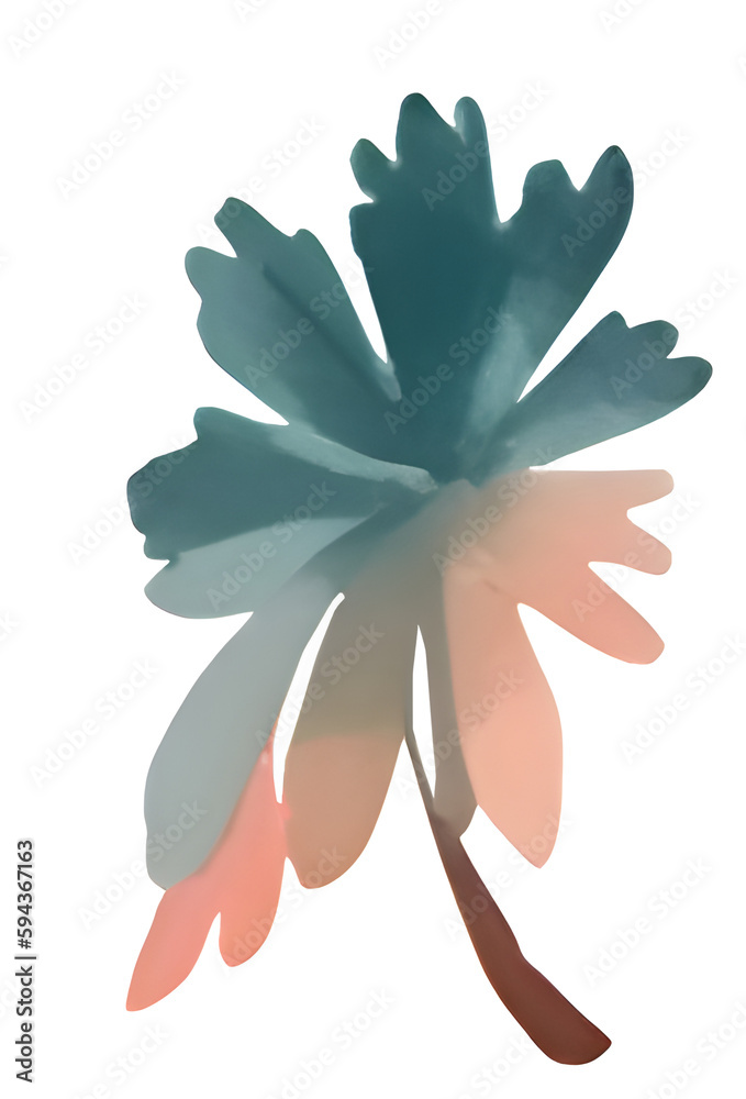 Colorful floral collection with multicolored flowers leaves branches Colorful floral collection