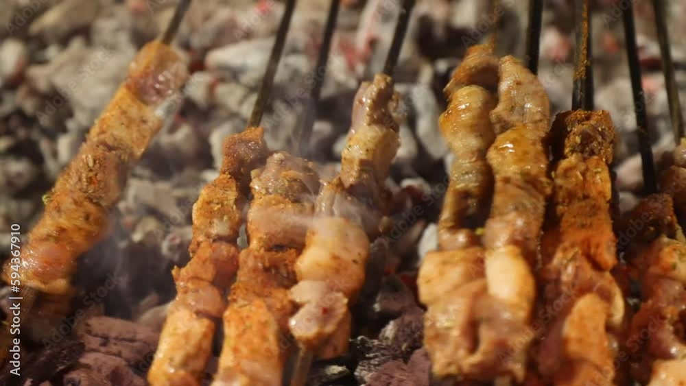shish kebab on the grill	
