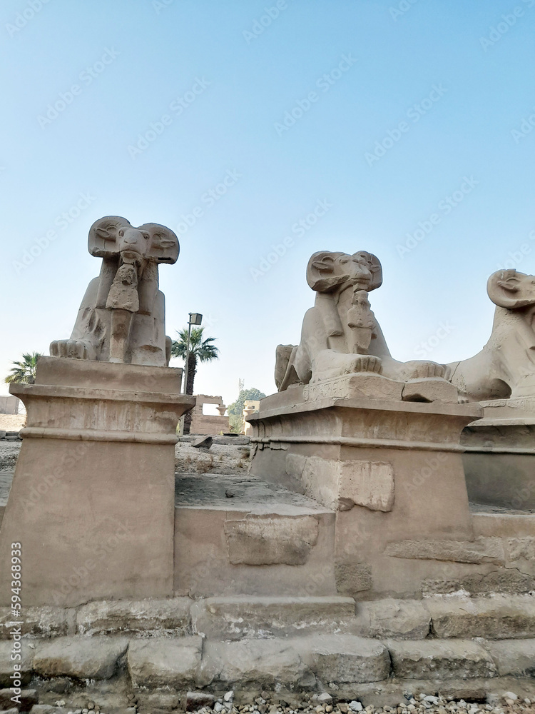 Aisle of ram temple of Karnak - Egypt - Dromos of Karnak