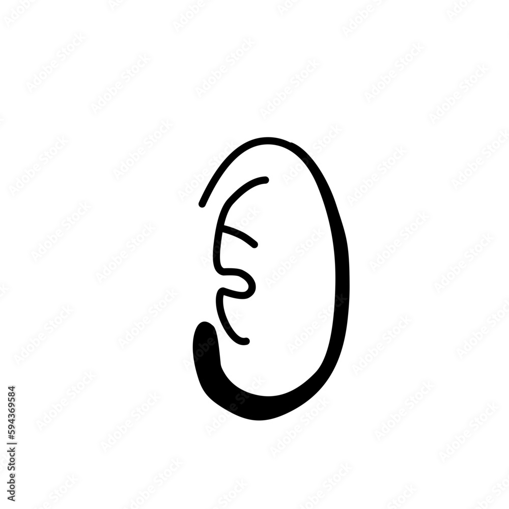 ear vector ear vector